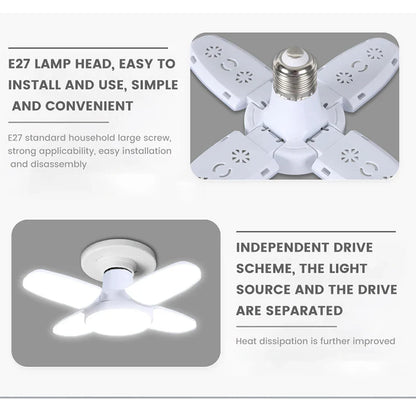 img_4